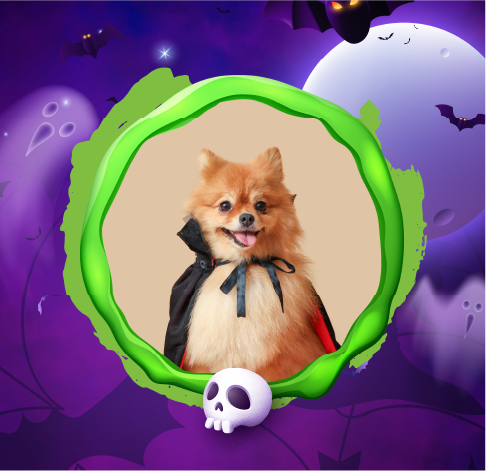 Desfile de mascotas disfrazadas